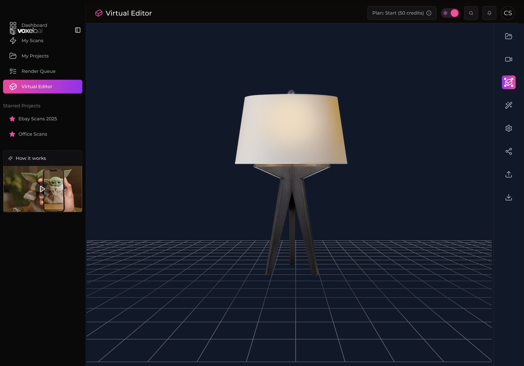 Voxelo platform — virtual editor on iPad