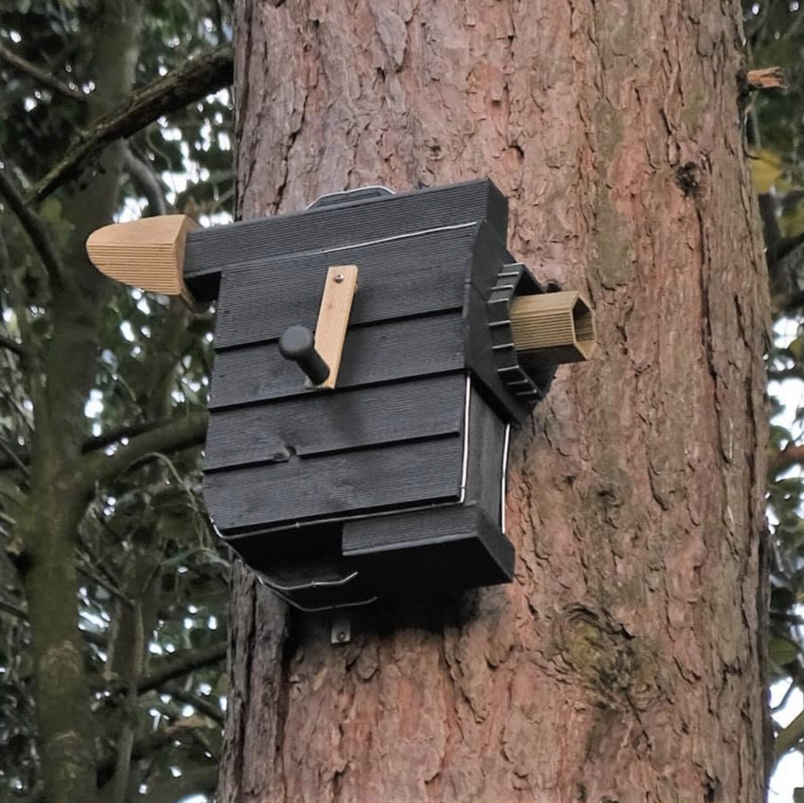 Wingers bird box — camera-inspired design mounted on a tree