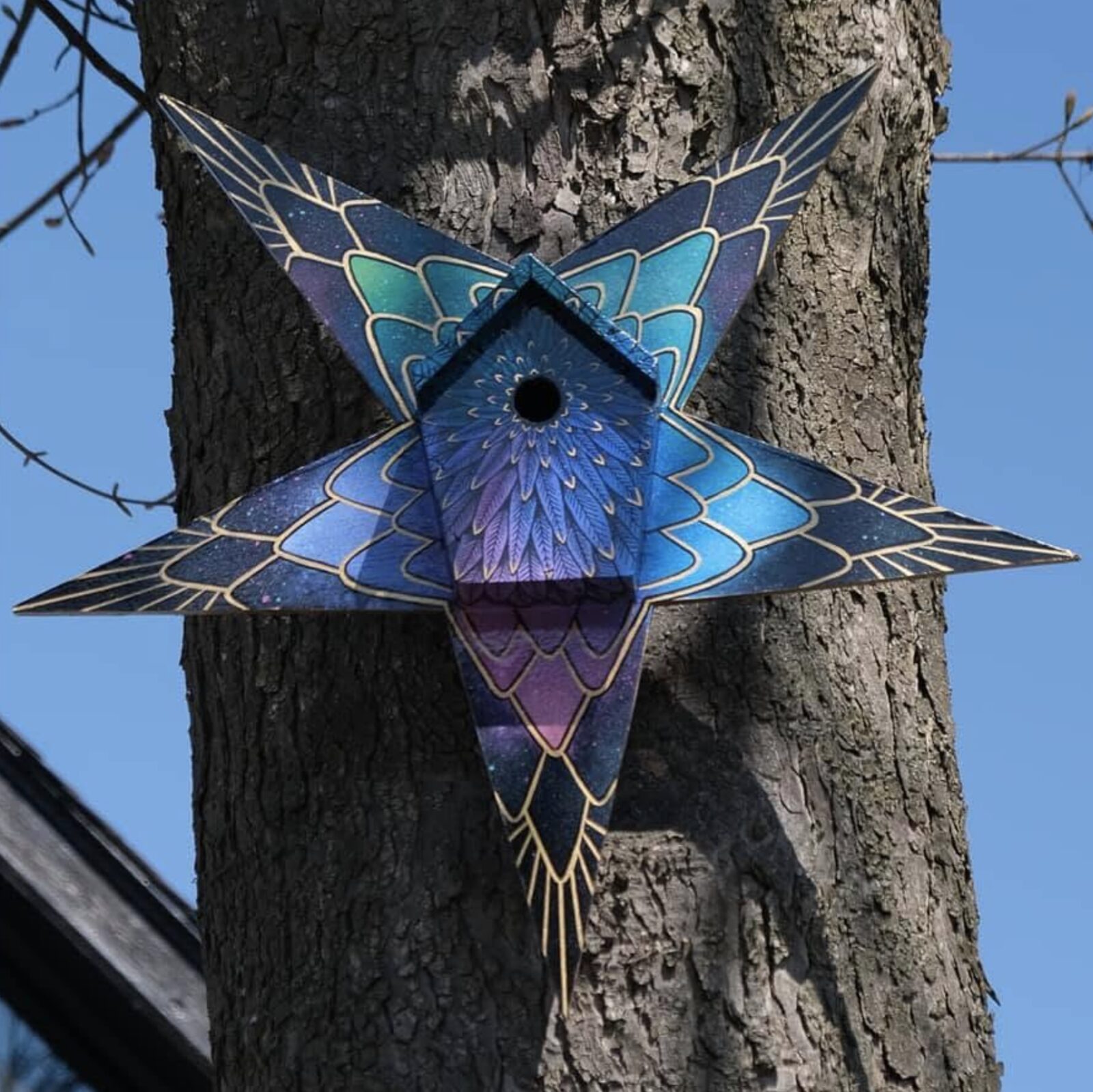 Wingers bird box — mandala star-patterned design
