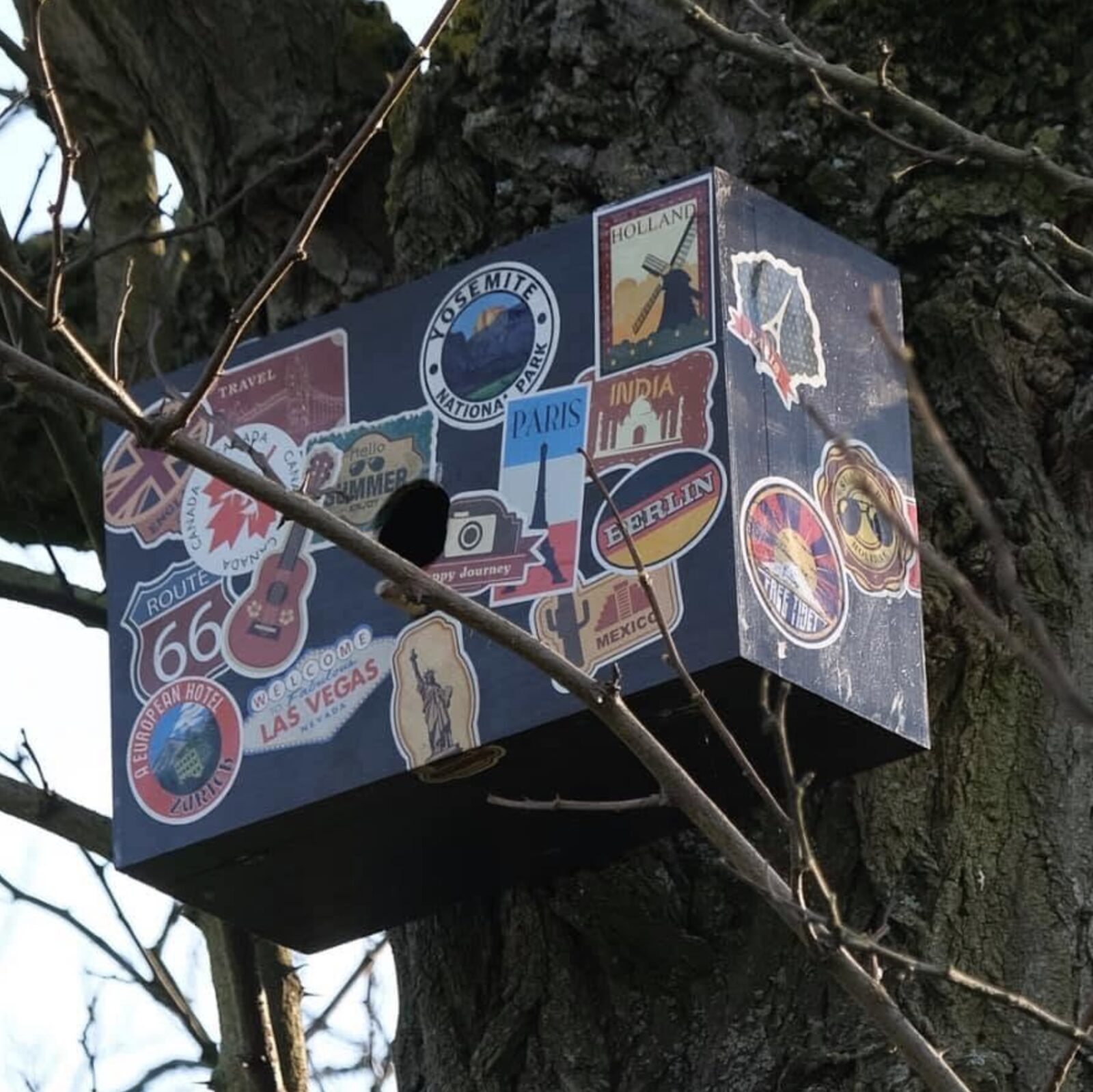 Wingers bird box — travel-sticker covered design