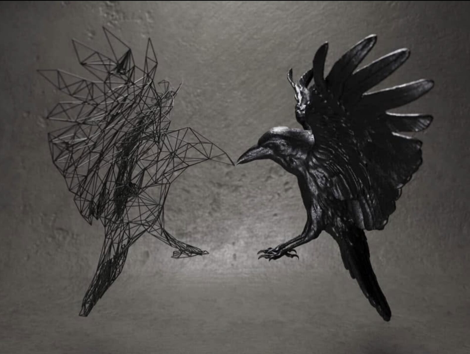 Wingers illustration — wireframe and realistic raven pair